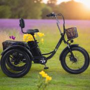 Трехколесный электровелосипед Fat Trike T NEW с передней корзиной