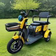 Электротрицикл Electrotrike Бумеранг 3000 желтый