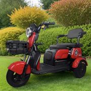 Электротрицикл E-TRIKE MINYON 2+1 NEW 2024